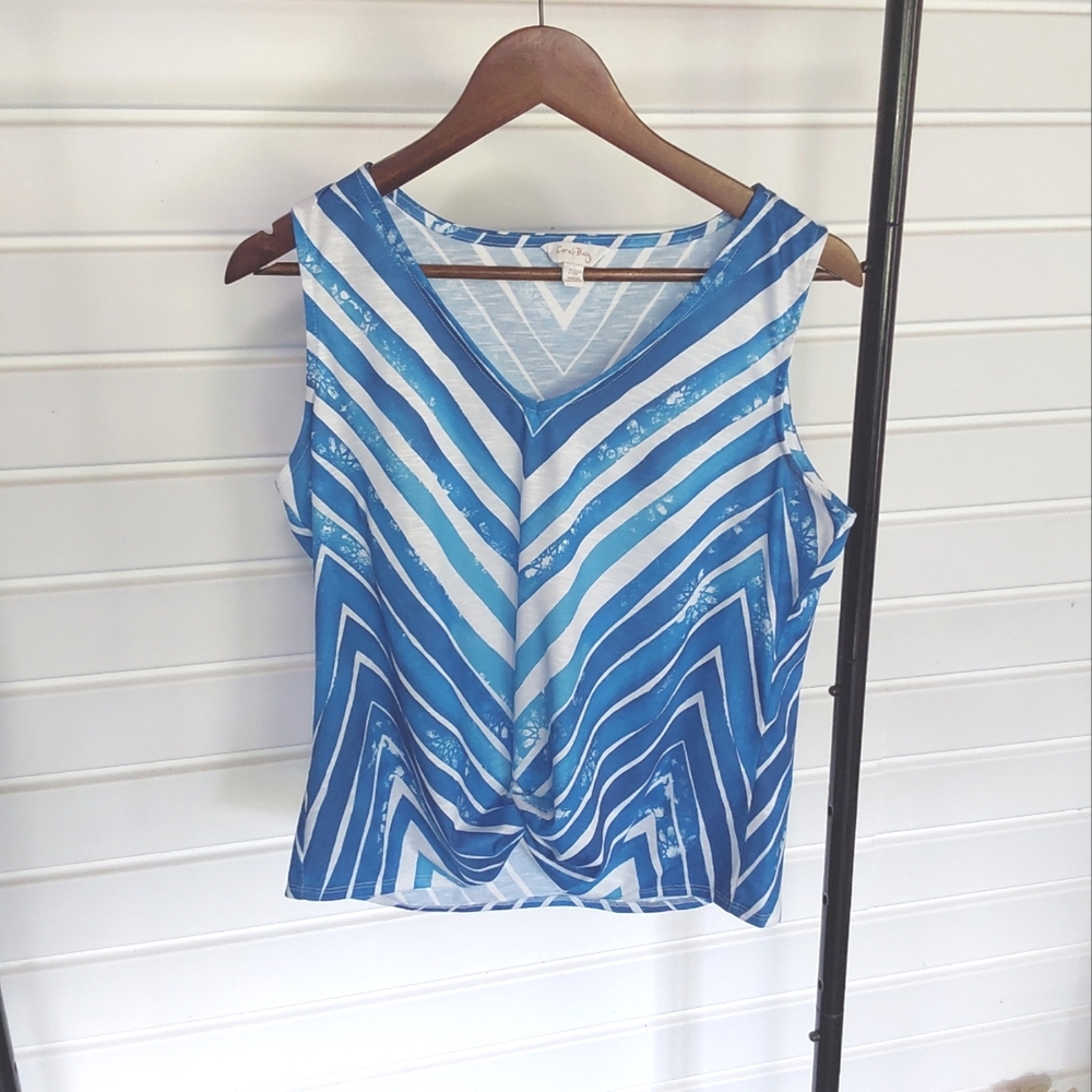Blue And White Striped Sleeveless Top By Coral Bay Size PM